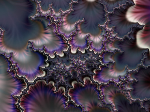 738224 (a): :2048x1536